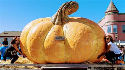 the biggest pumpkin moonshine